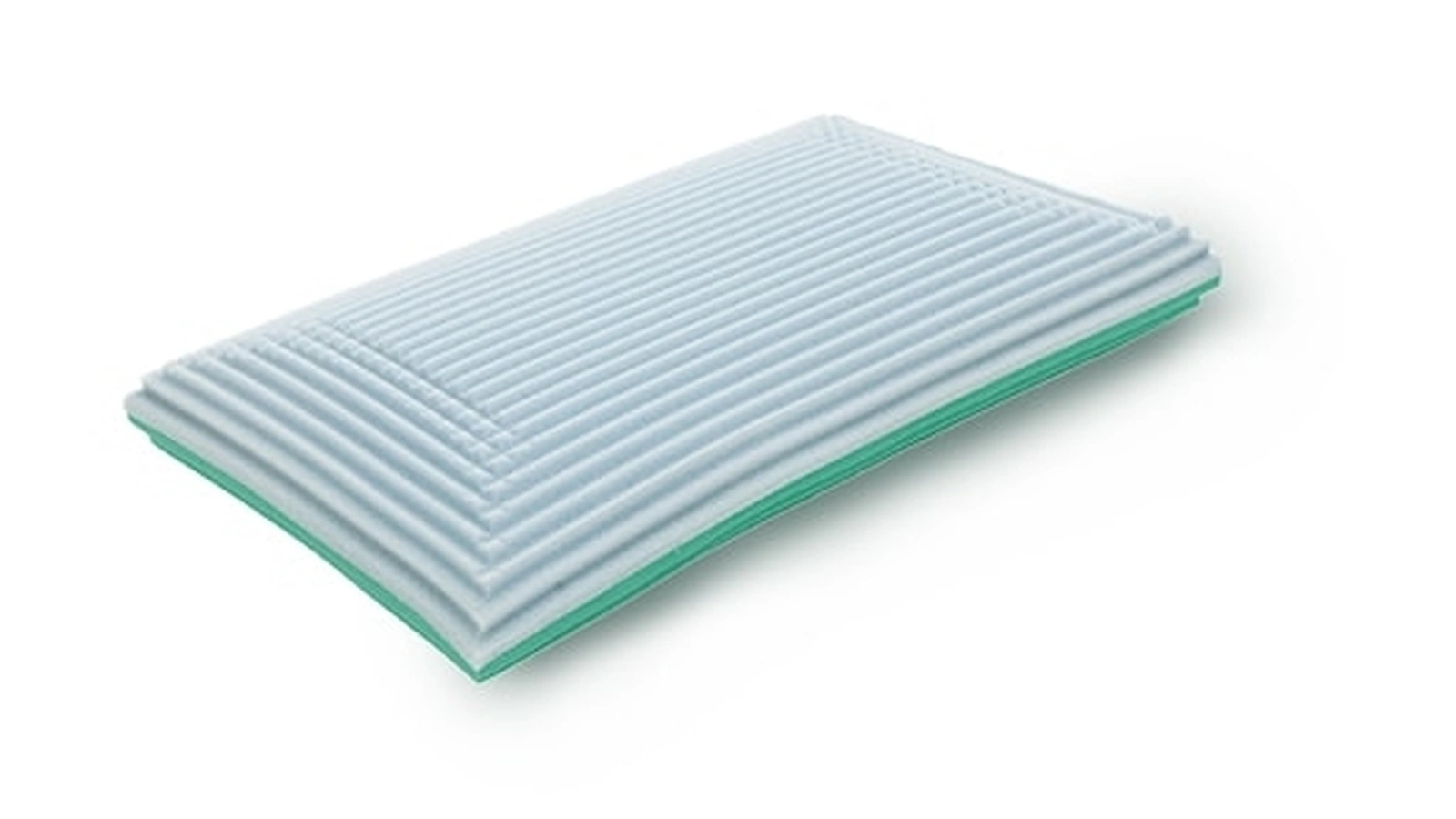 Guanciale Double di Dorsal