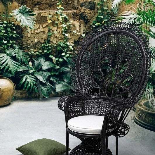 Poltrona in rattan Peacock di Bizzotto